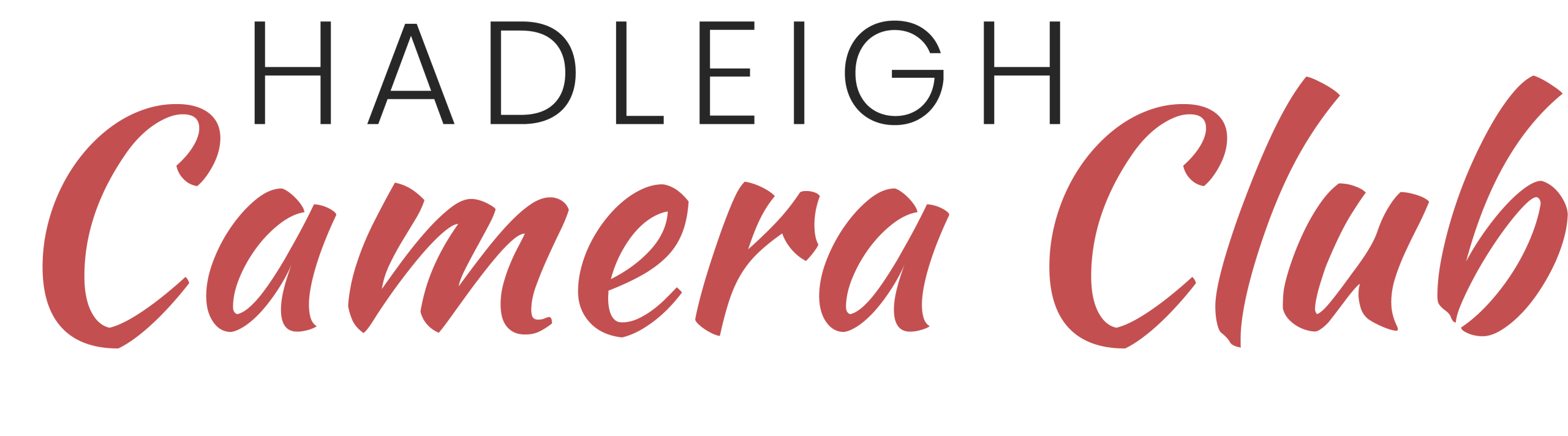 Hadleigh Camera Club